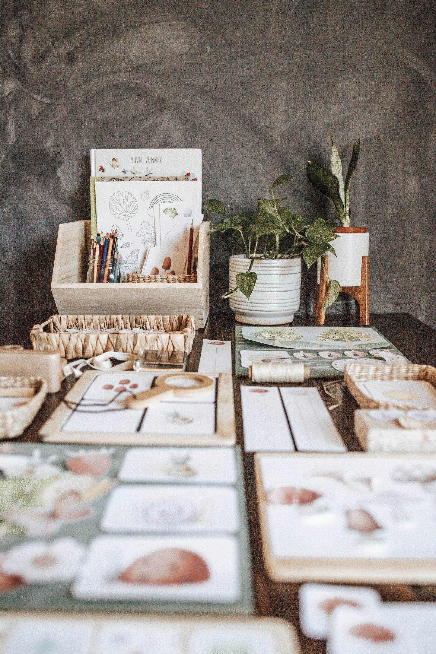 NATURE SCIENCE MORNING BASKET