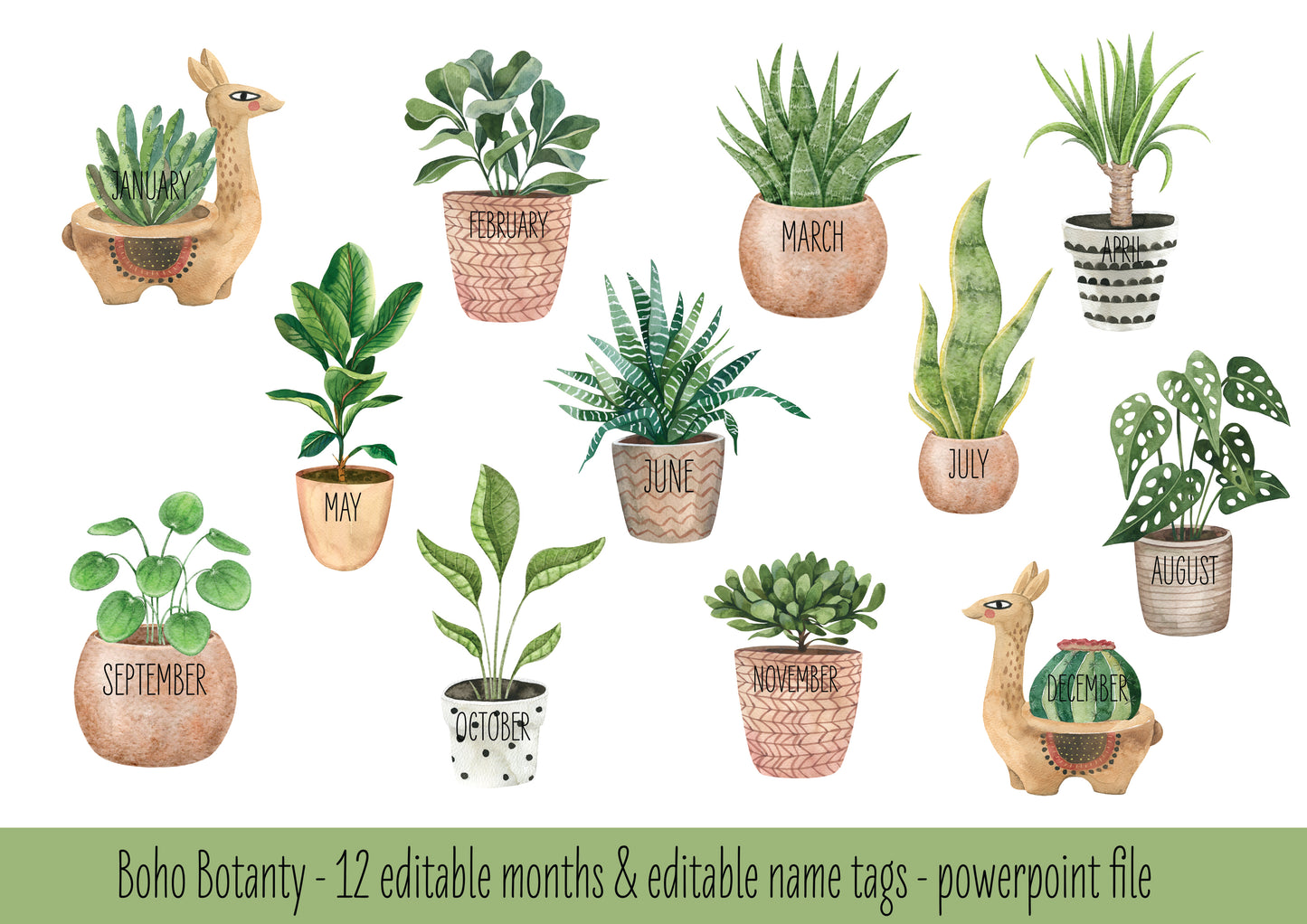 BOHO BOTANY BIRTHDAY DISPLAY
