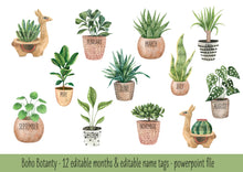 Load image into Gallery viewer, BOHO BOTANY BIRTHDAY DISPLAY