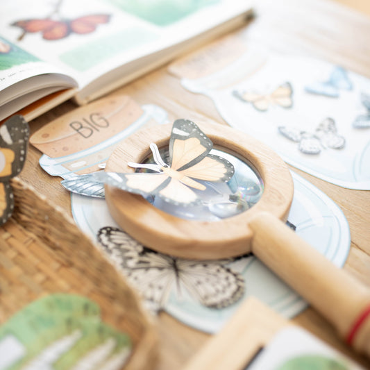 A close-up of butterfly-themed craft or educational materials on a wooden surface, including a magnifying glass with a butterfly cutout, butterfly stickers, printed cards, and a book page in soft focus.