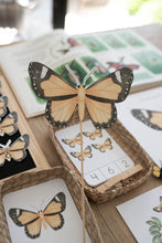 Load image into Gallery viewer, BUTTERFLY MINI UNIT STUDY