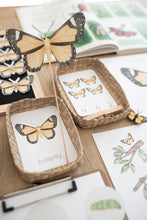Load image into Gallery viewer, BUTTERFLY MINI UNIT STUDY