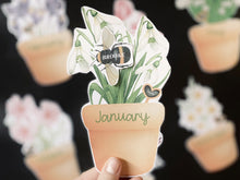 Load image into Gallery viewer, BIRTHDAY MONTH BIRTHDAY DISPLAY