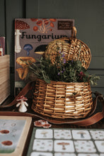 Load image into Gallery viewer, MUSHROOM MORNING BASKET