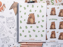 Load image into Gallery viewer, WOODLAND ANIMAL ACTIVITY PACK