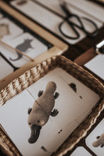Load image into Gallery viewer, AUSTRALIAN ANIMAL MORNING BASKET