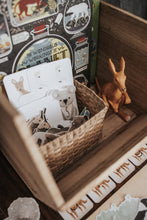 Load image into Gallery viewer, AUSTRALIAN ANIMAL MORNING BASKET