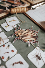 Load image into Gallery viewer, BUGS/ENTOMOLOGY MORNING BASKET