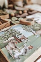 Load image into Gallery viewer, FORESTRY MORNING BASKET