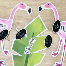 Load image into Gallery viewer, FLAMINGO BIRTHDAY DISPLAY