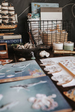 Load image into Gallery viewer, OCEANOGRAPHY MORNING BASKET