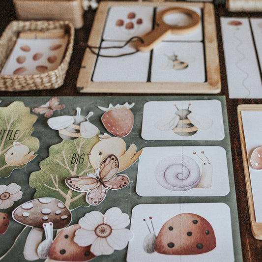 NATURE SCIENCE MORNING BASKET