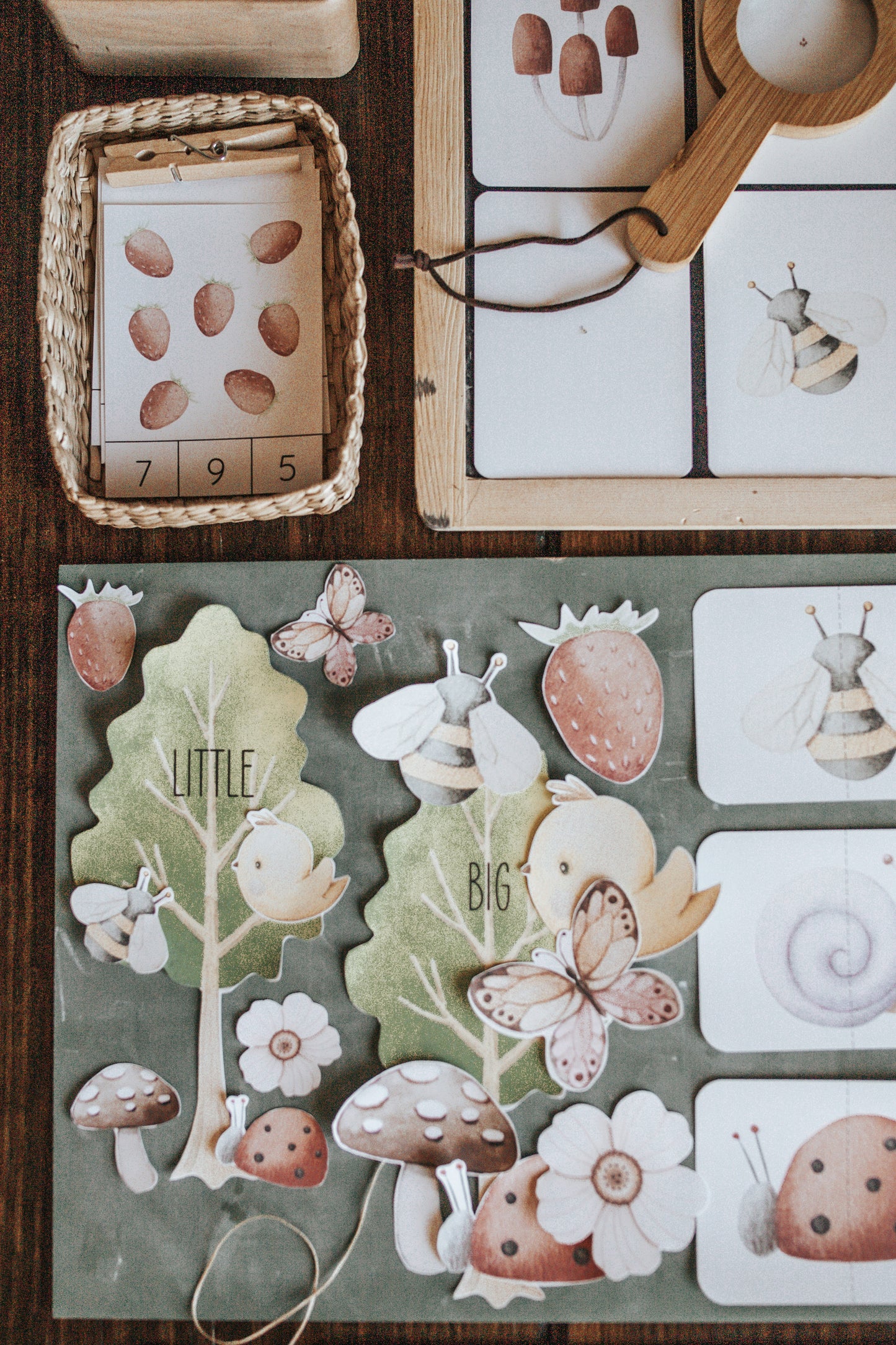 NATURE SCIENCE MORNING BASKET