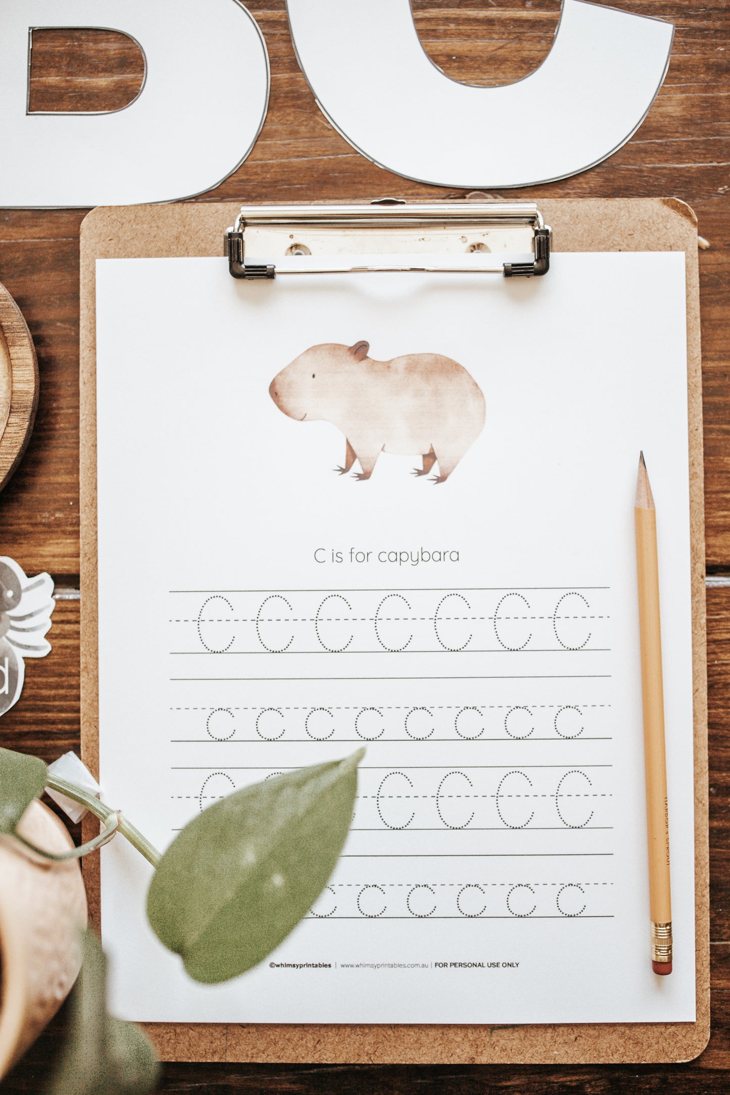 LETTER BASKETS