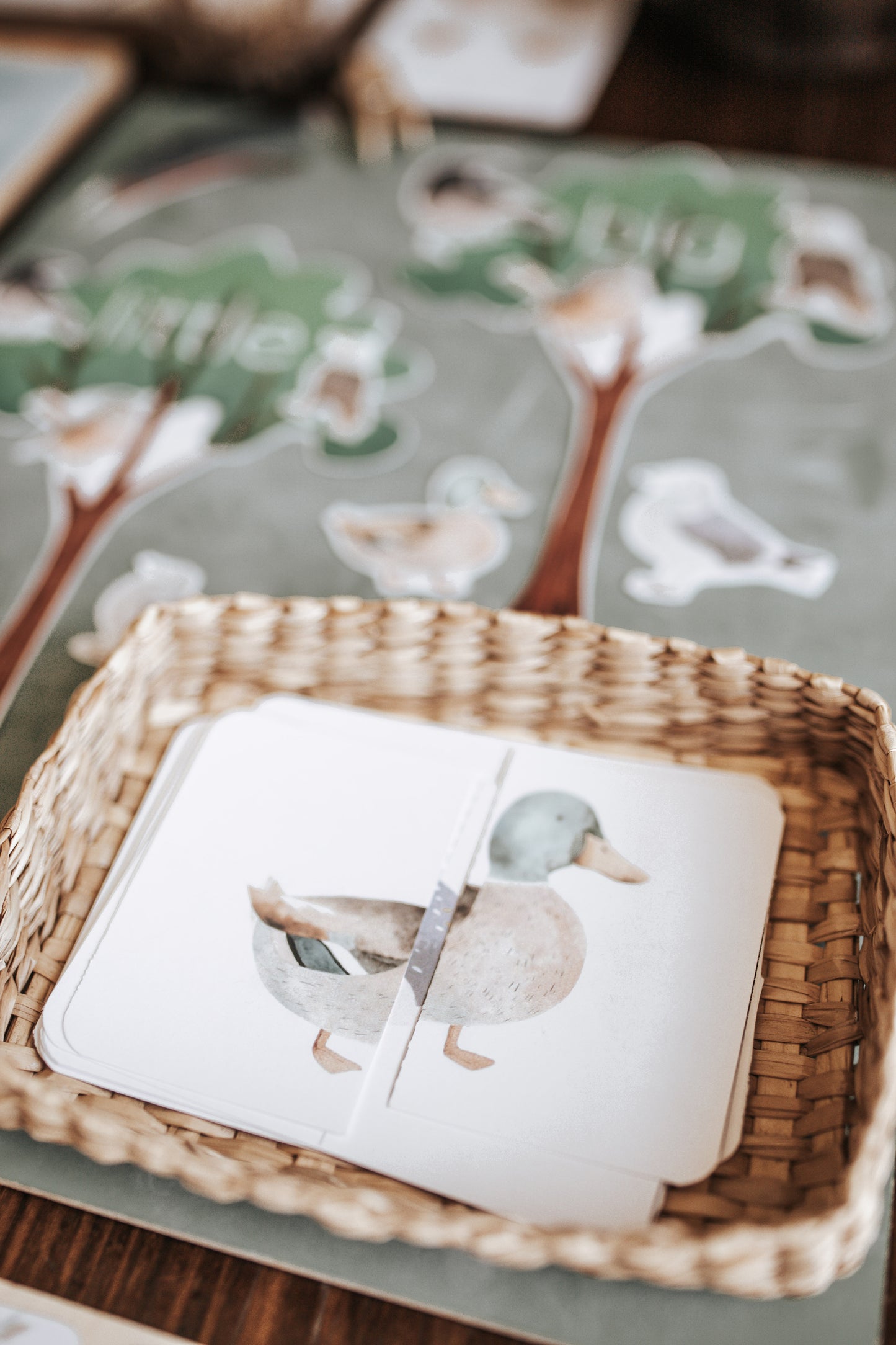 BIRDS MORNING BASKET