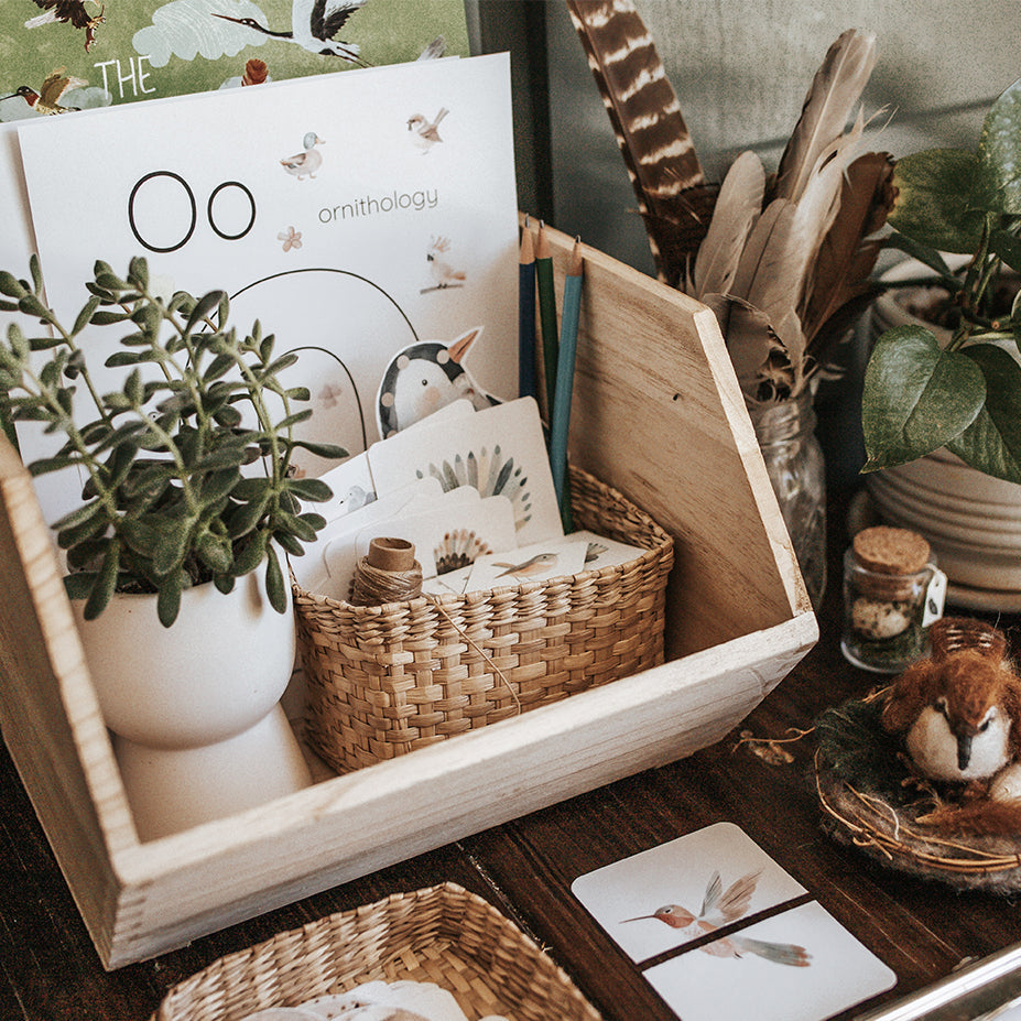 A collection of printable learning activities related to birds, including coloring pages and educational cards, arranged on a table with a basket and pens.