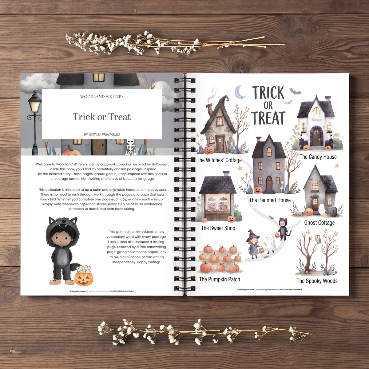 HALLOWEEN TRICK OR TREAT CHARLOTTE MASON COPYWORK BOOKLET