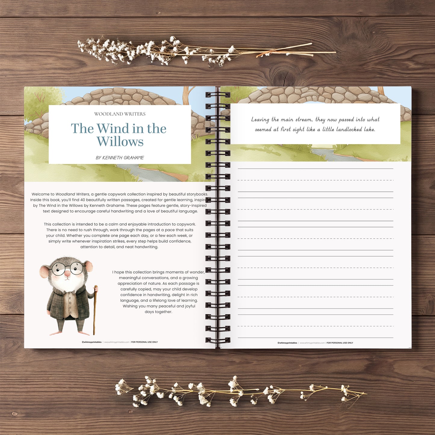 THE WIND IN THE WILLOWS CHARLOTTE MASON COPYWORK
