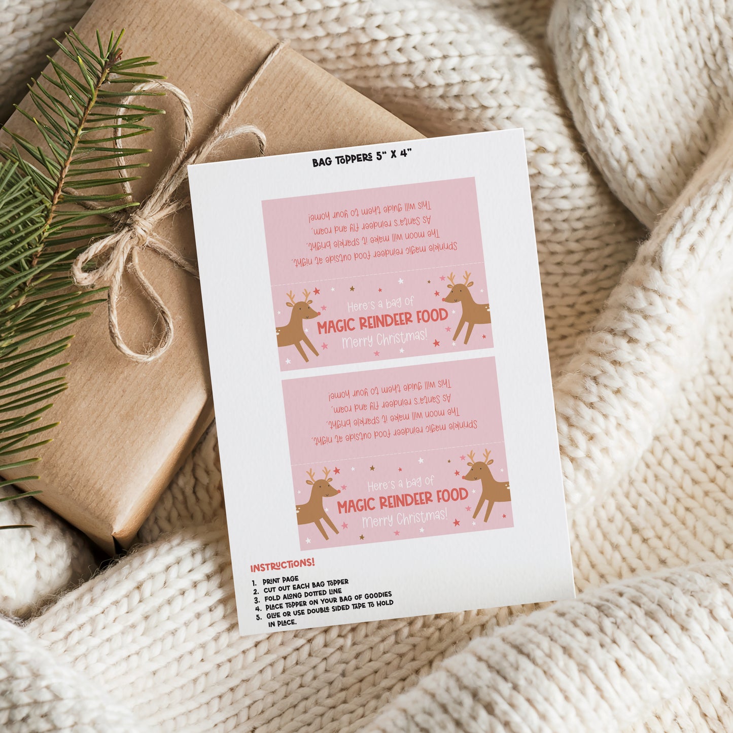 MAGIC REINDEER FOOD BAG TOPPER