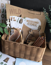 Load image into Gallery viewer, WOODLAND ANIMAL ACTIVITY PACK
