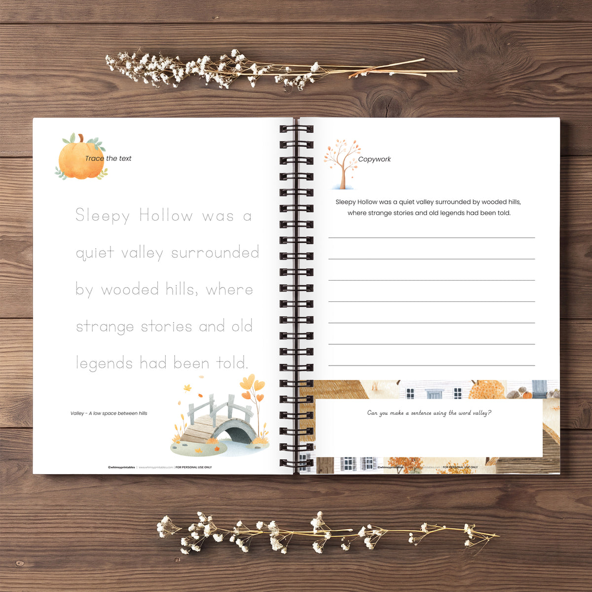 THE LEGEND OF SLEEPY HOLLOW CHARLOTTE MASON COPYWORK BOOKLET