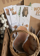 Load image into Gallery viewer, WOODLAND ANIMAL ACTIVITY PACK
