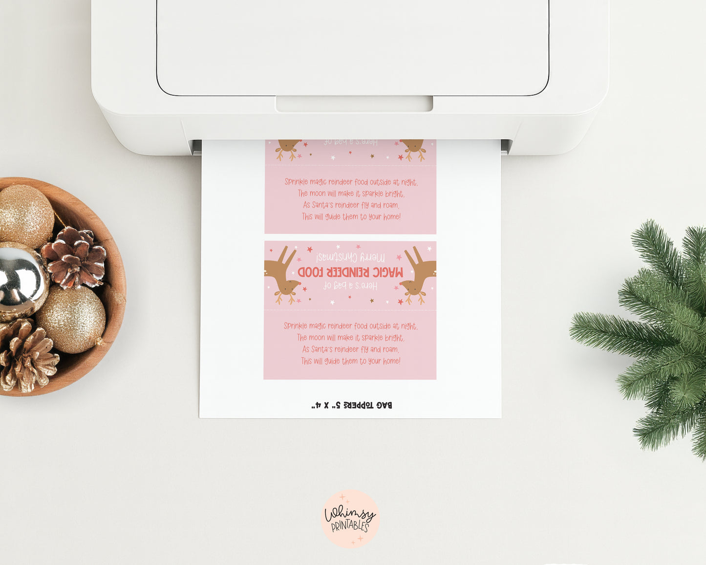 MAGIC REINDEER FOOD BAG TOPPER