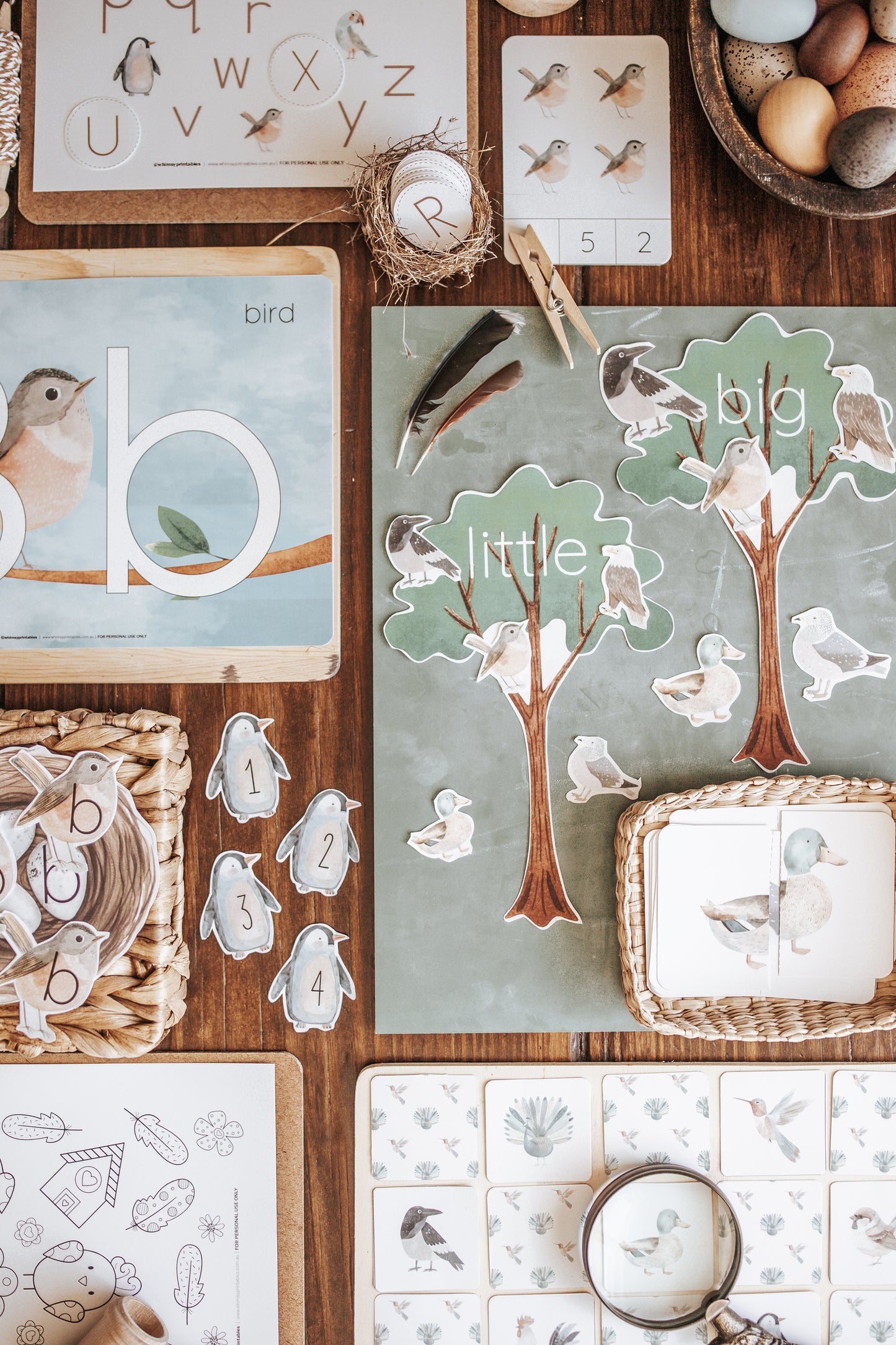 BIRDS MORNING BASKET