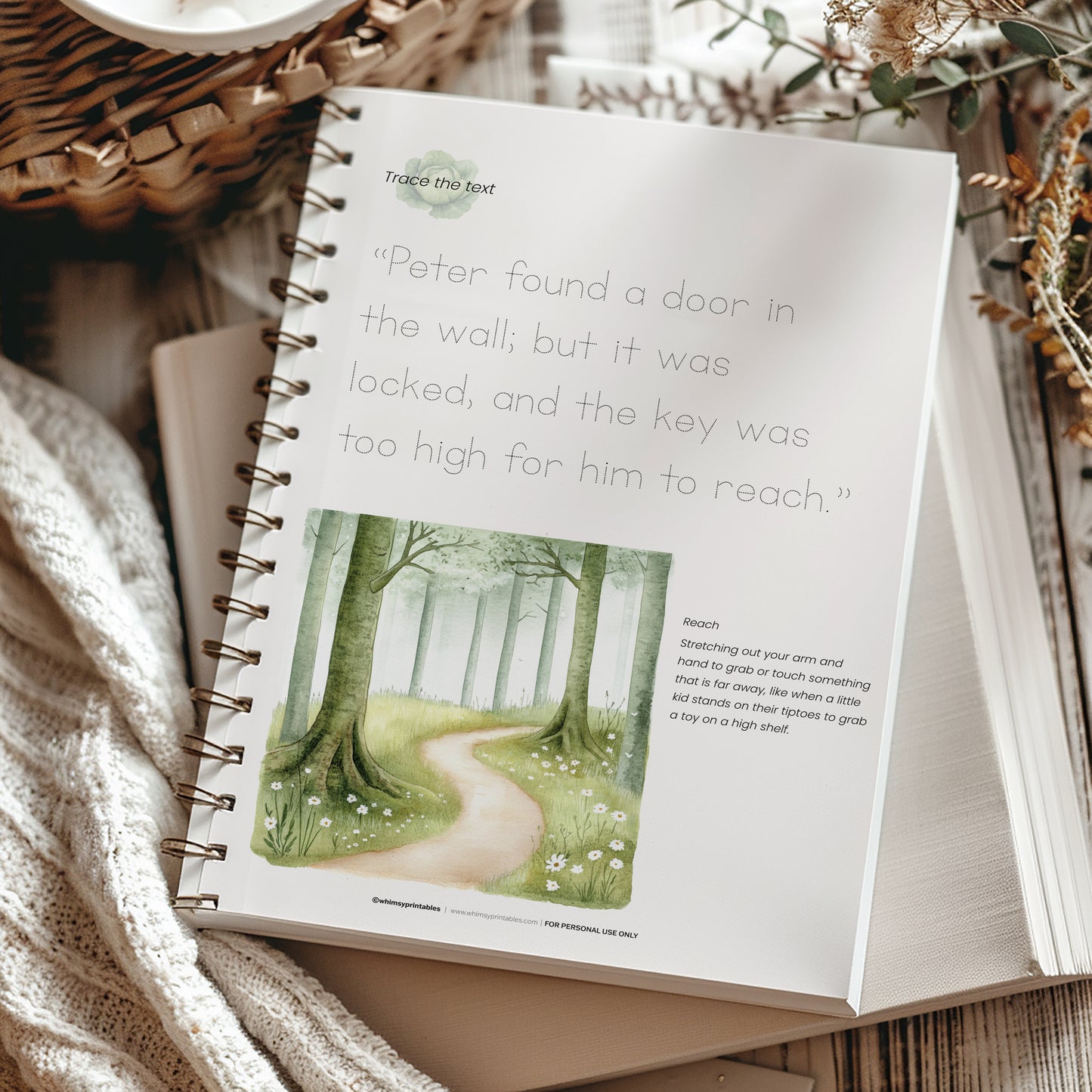 THE TALE OF PETER RABBIT CHARLOTTE MASON COPYWORK