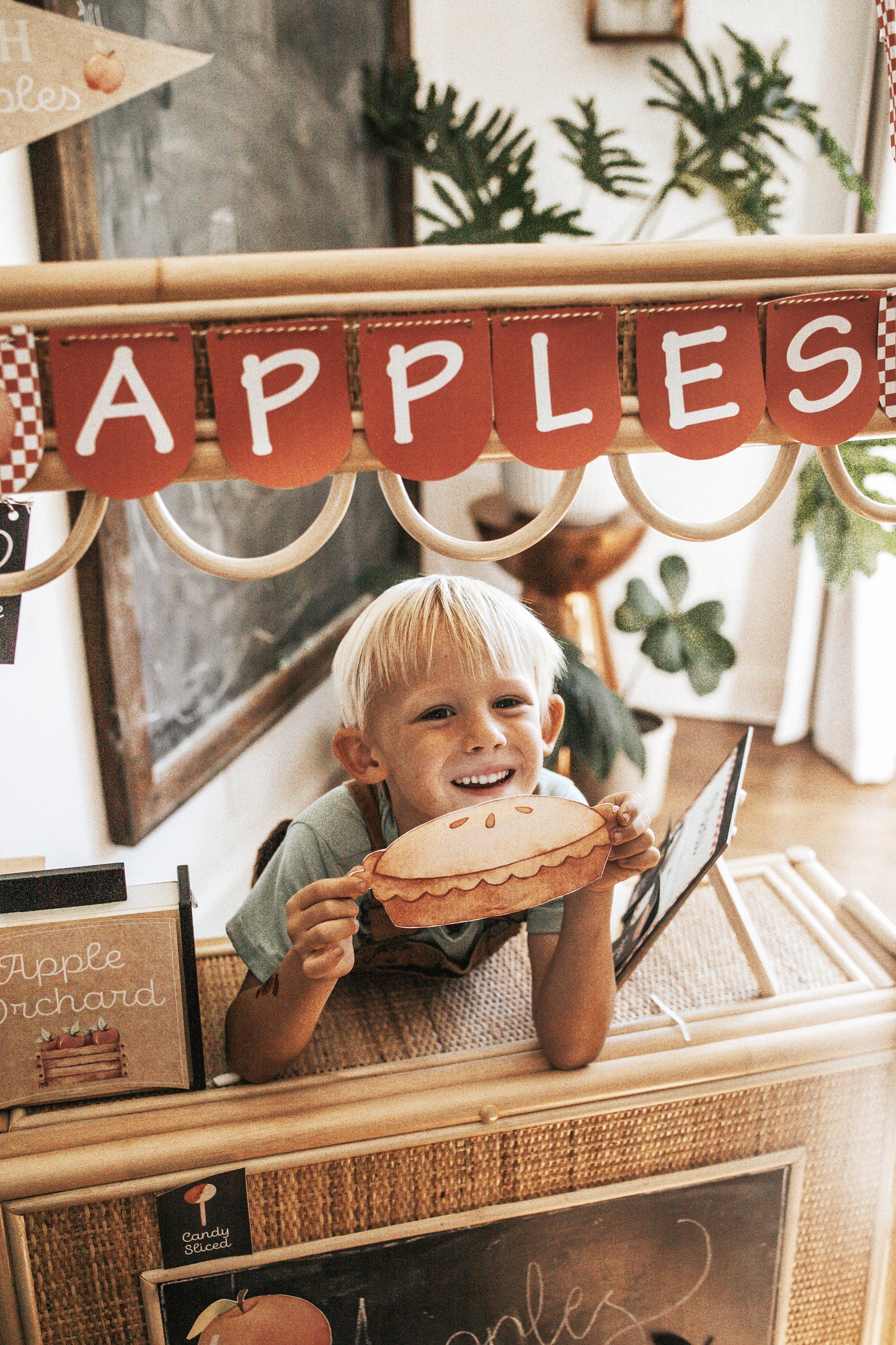 APPLE ORCHARD DRAMATIC PLAY SET