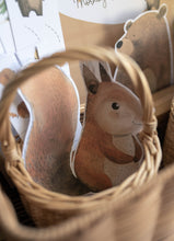 Load image into Gallery viewer, WOODLAND ANIMAL ACTIVITY PACK
