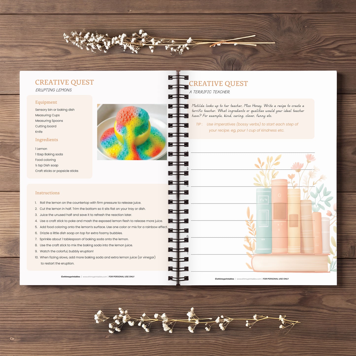 MATILDA INSPIRED BOOK COMPANION - STORY EXPLORERS