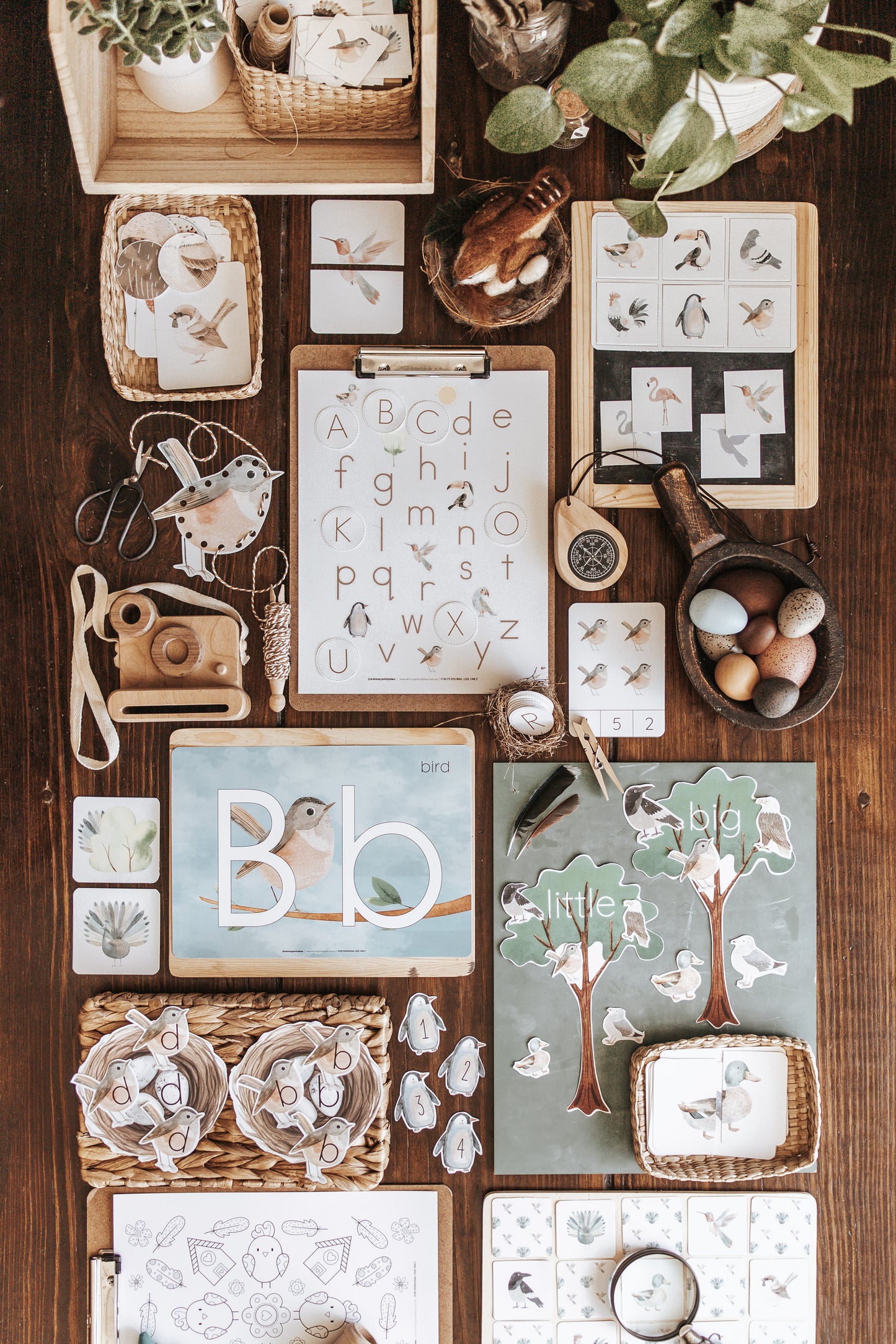 BIRDS MORNING BASKET