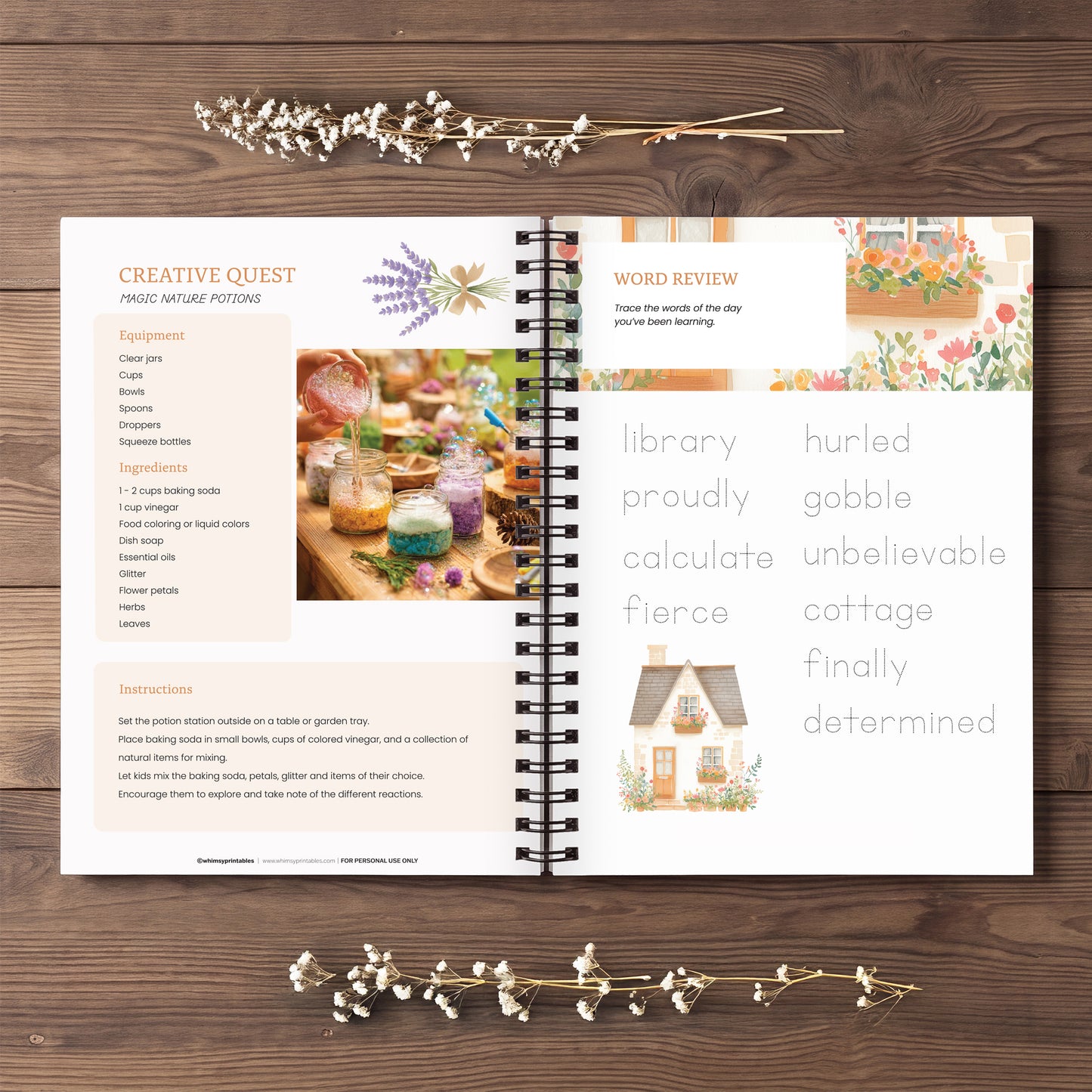 MATILDA INSPIRED BOOK COMPANION - STORY EXPLORERS