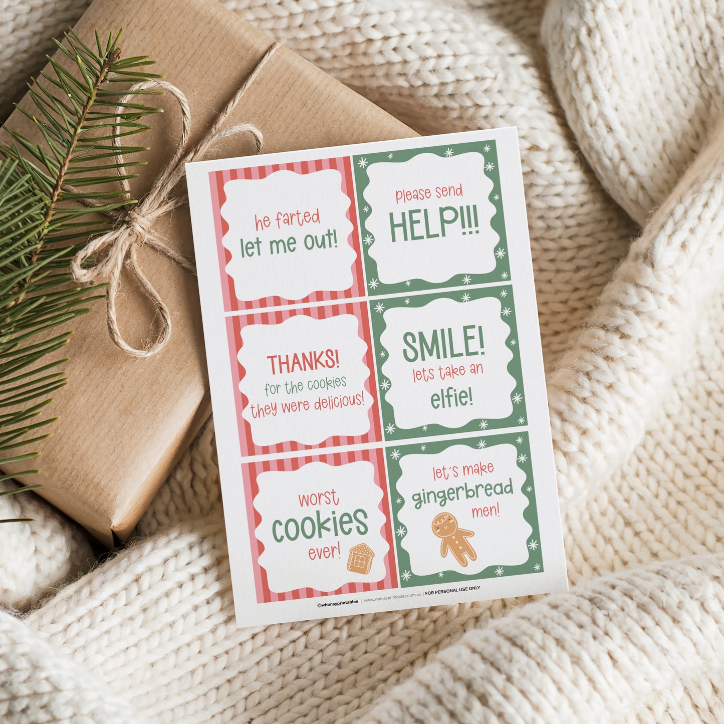 ELF ON THE SHELF NOTES