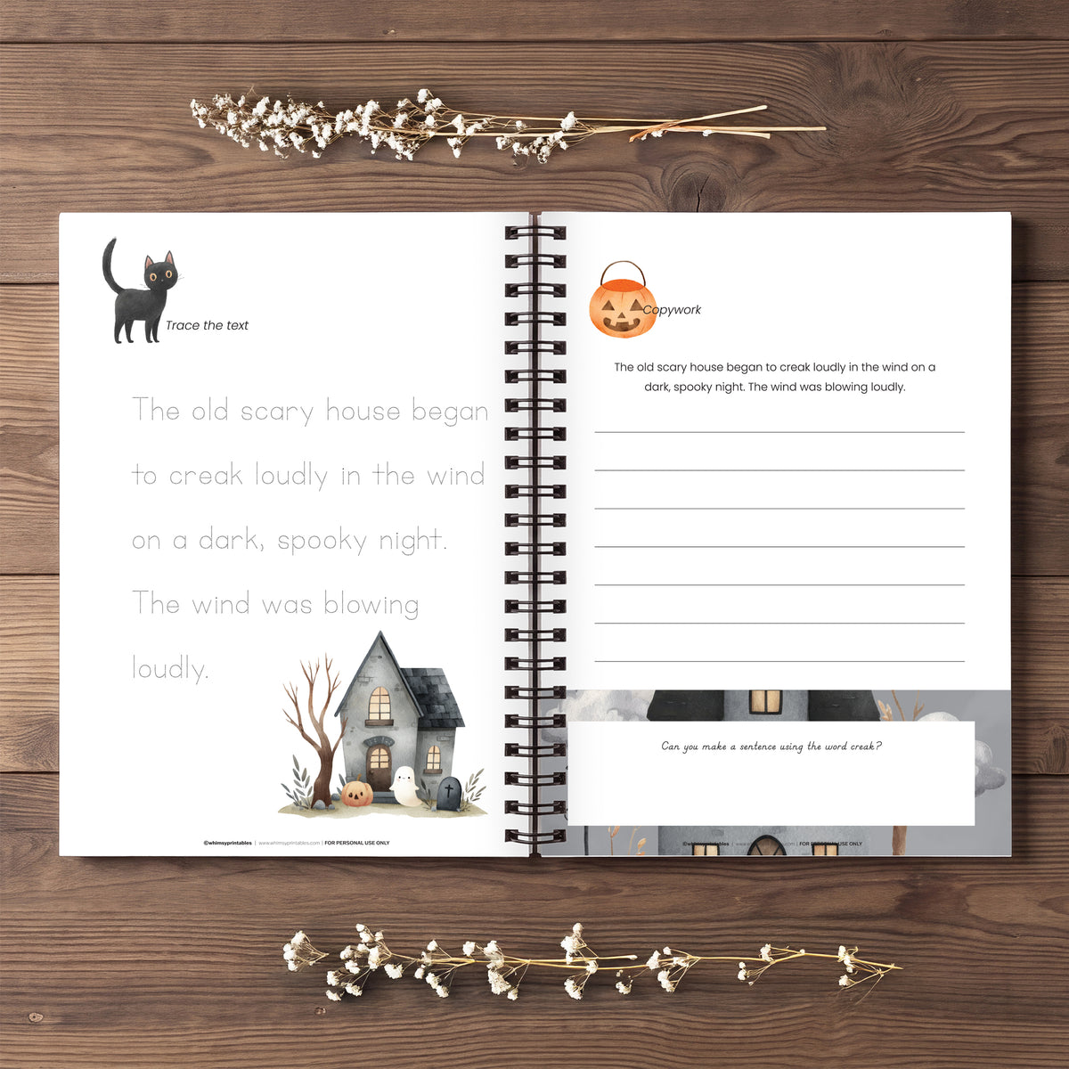 HALLOWEEN TRICK OR TREAT CHARLOTTE MASON COPYWORK BOOKLET