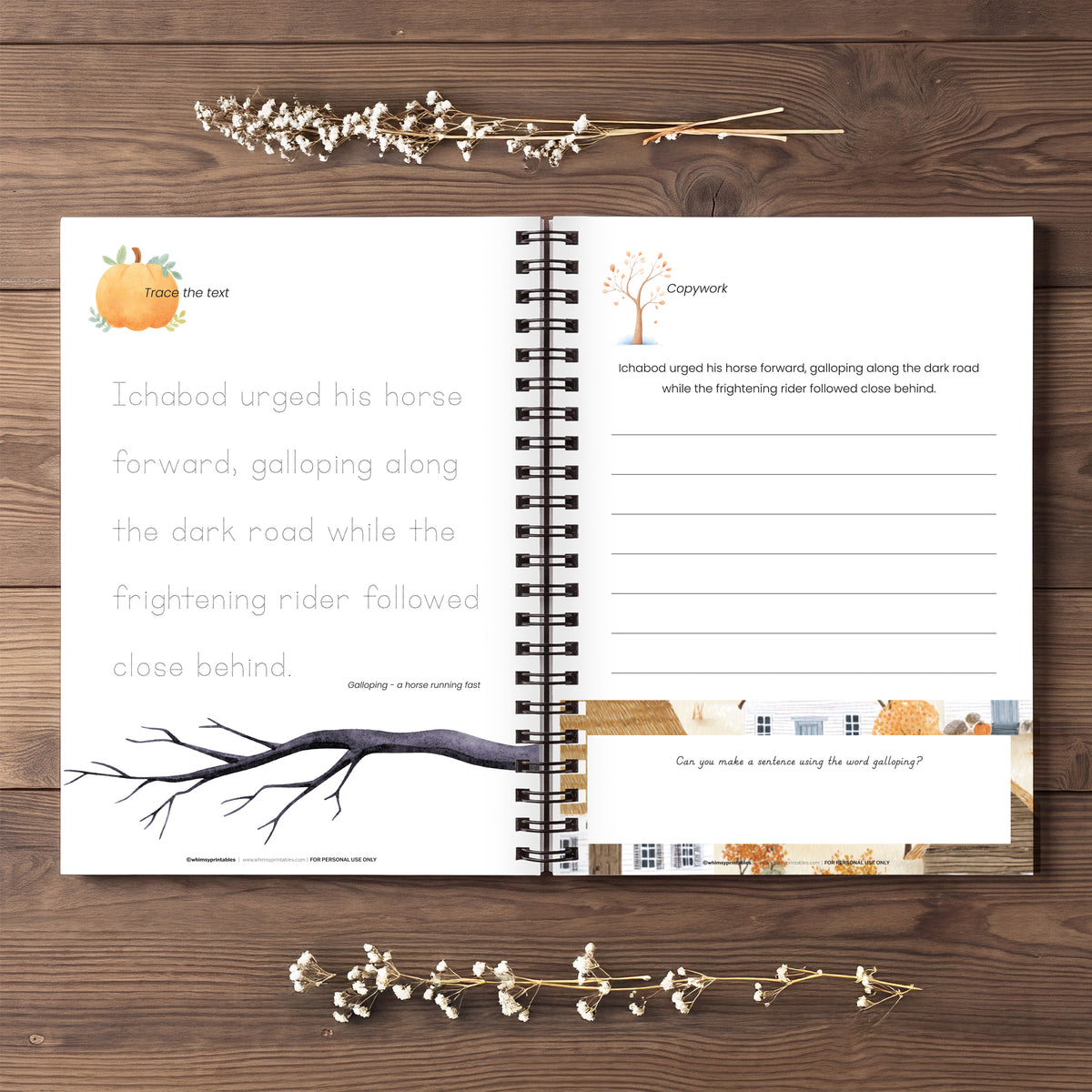 THE LEGEND OF SLEEPY HOLLOW CHARLOTTE MASON COPYWORK BOOKLET
