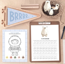 Load image into Gallery viewer, ARCTIC FRIENDS ACTIVITY PACK
