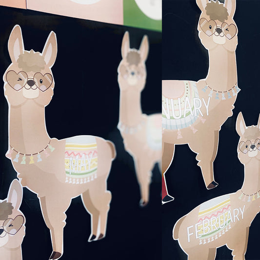 DRAMA LLAMA BIRTHDAY DISPLAY