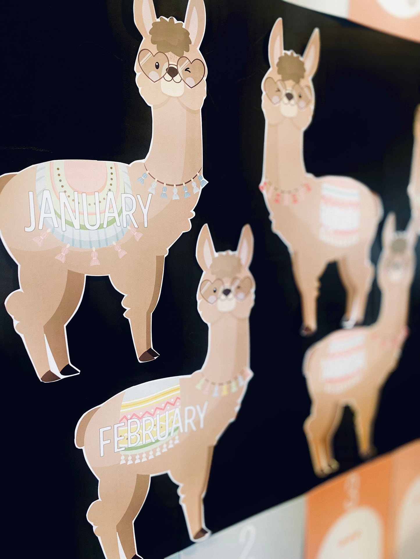 DRAMA LLAMA BIRTHDAY DISPLAY