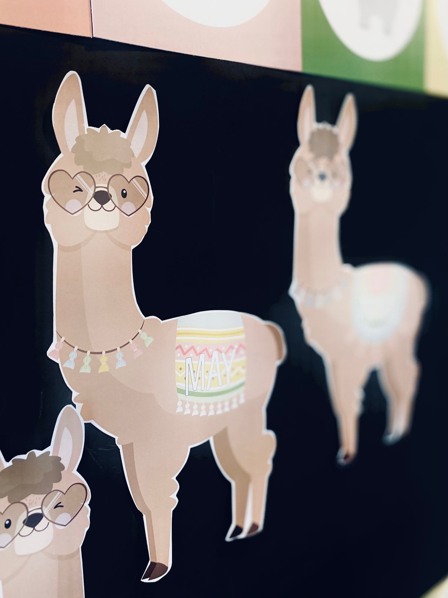 DRAMA LLAMA BIRTHDAY DISPLAY