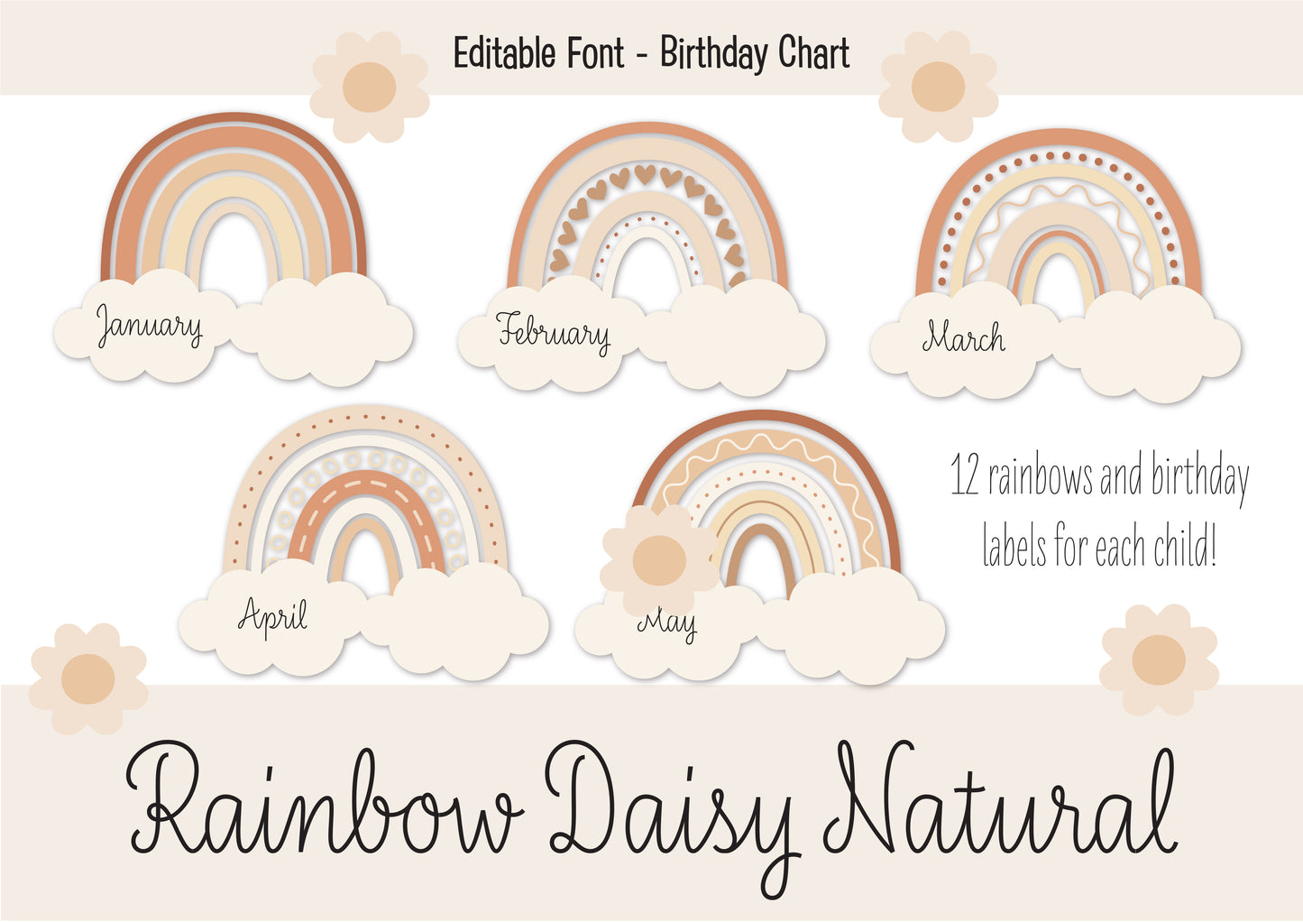 RAINBOW DAISY NATURAL BIRTHDAY DISPLAY