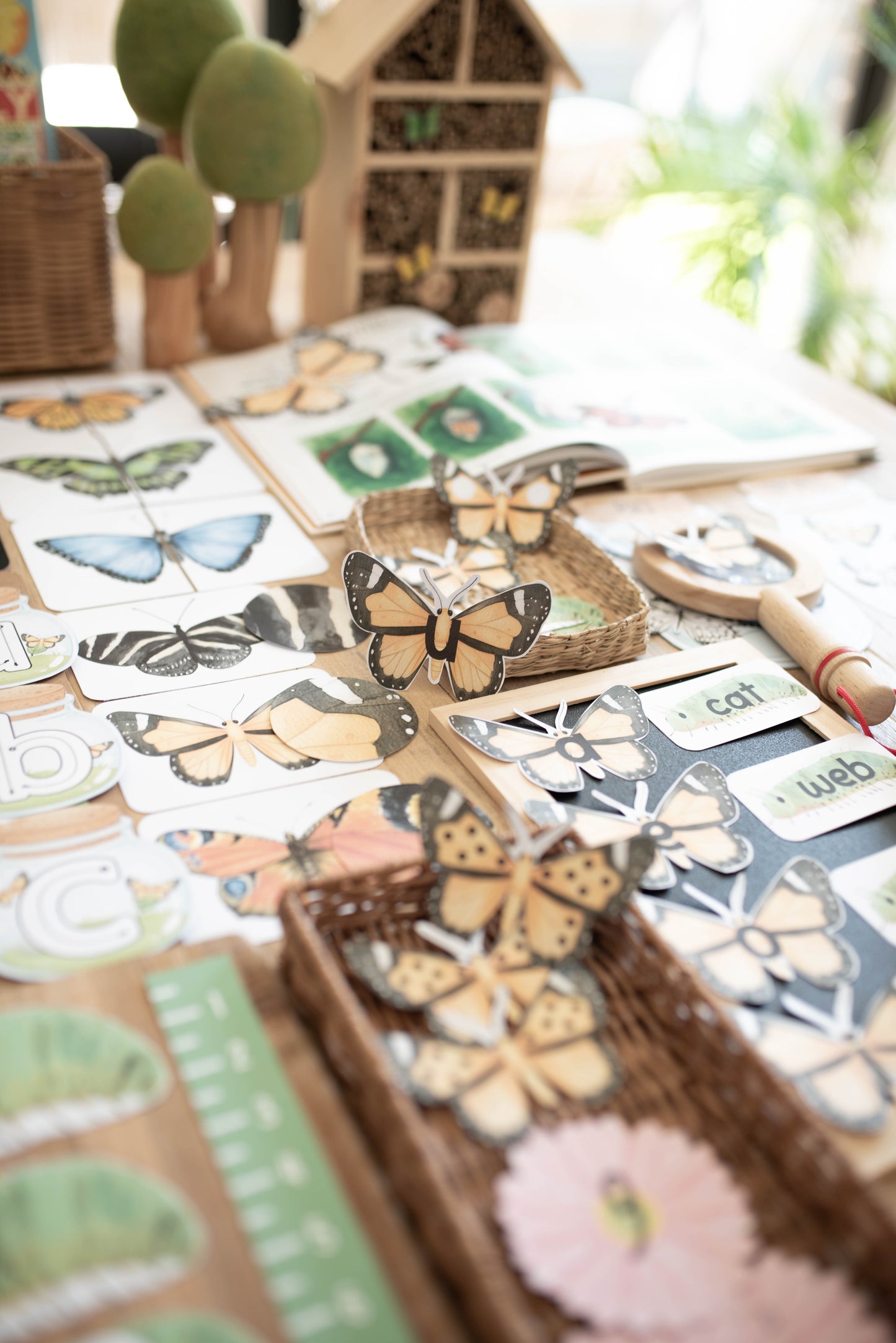BUTTERFLY MORNING BASKET