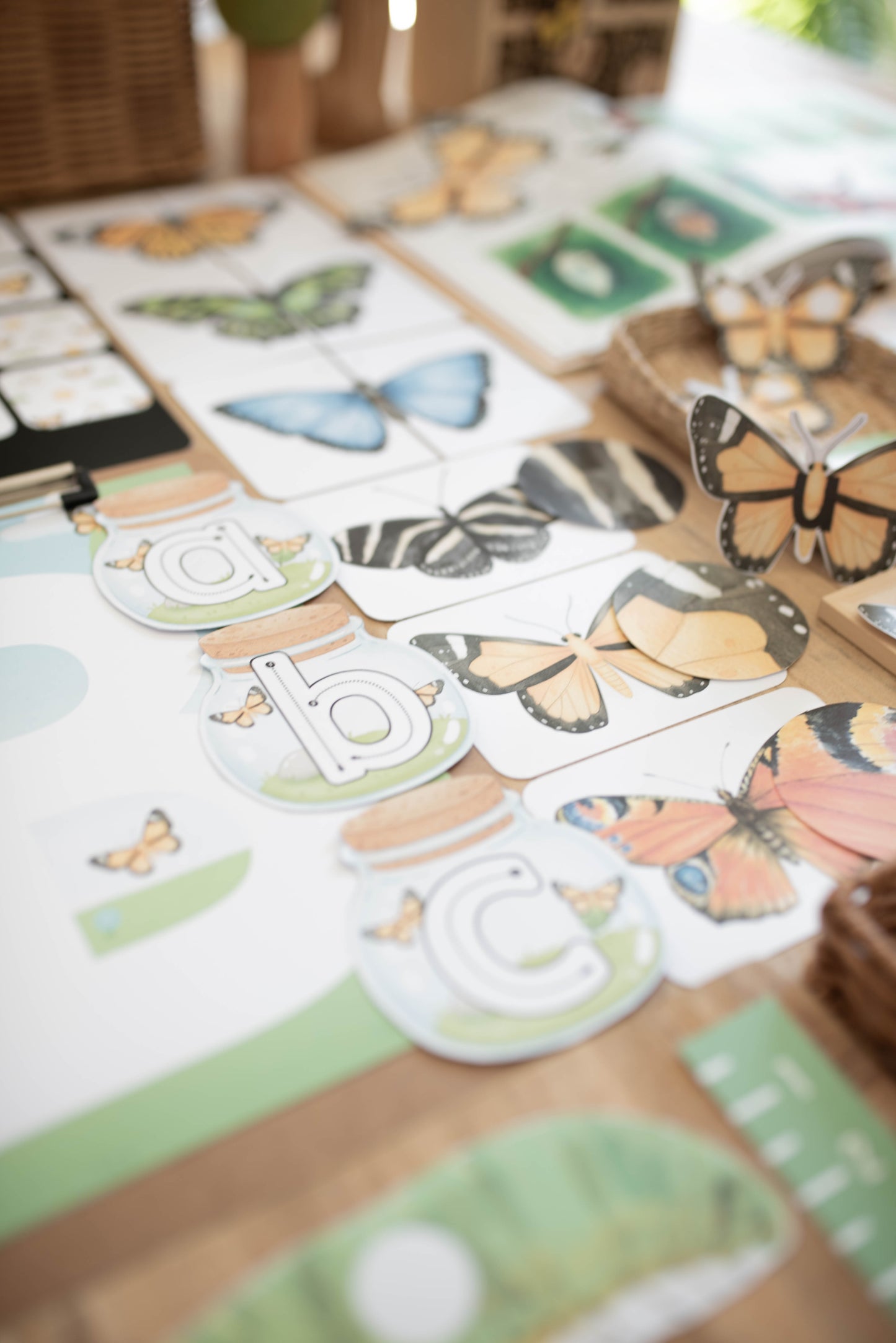 BUTTERFLY MORNING BASKET