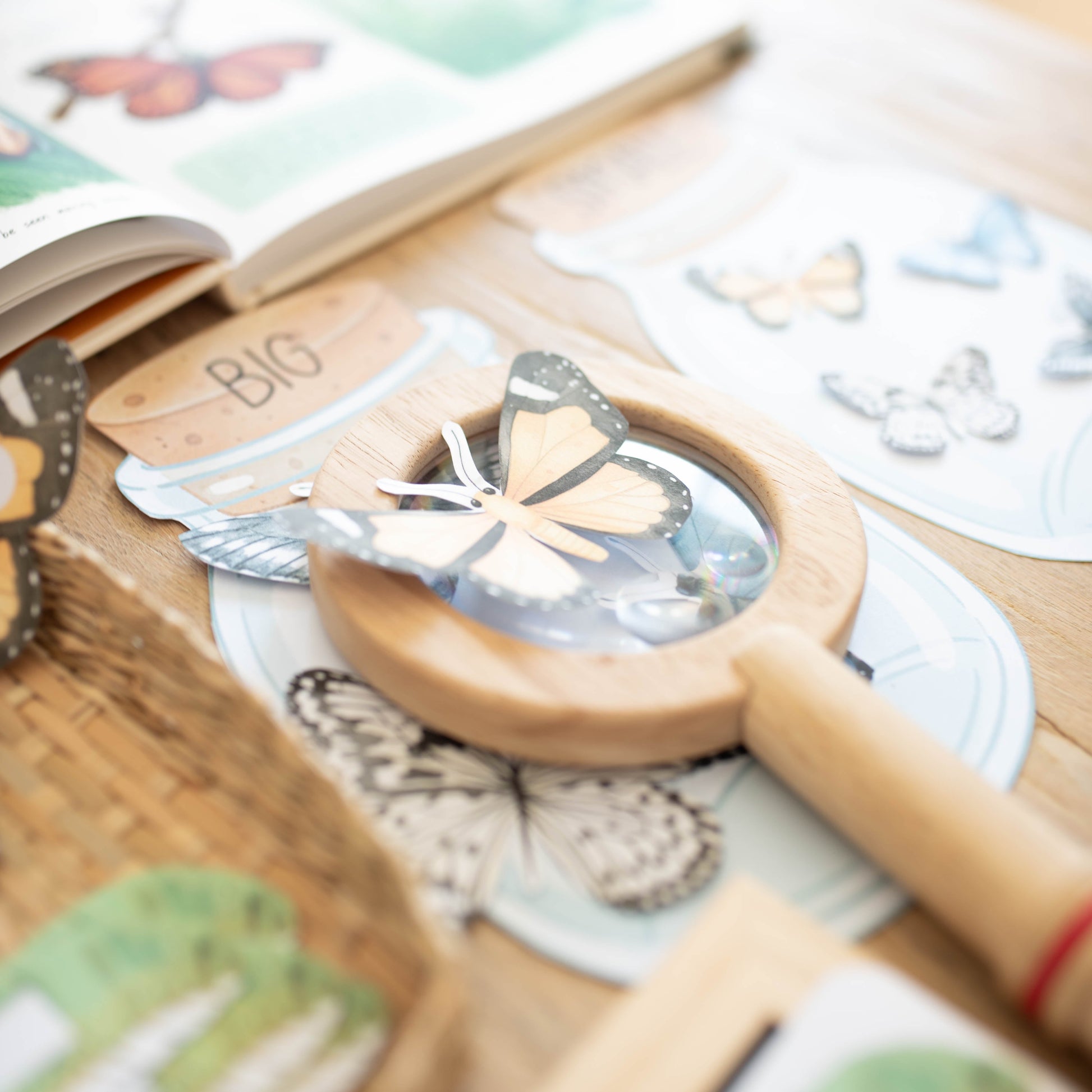 A close-up of butterfly-themed craft or educational materials on a wooden surface, including a magnifying glass with a butterfly cutout, butterfly stickers, printed cards, and a book page in soft focus.