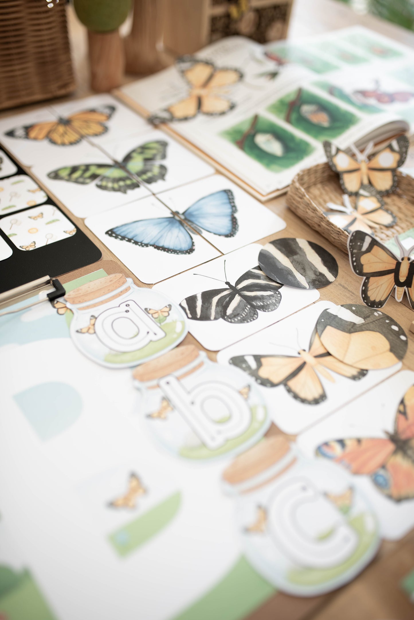 BUTTERFLY MORNING BASKET