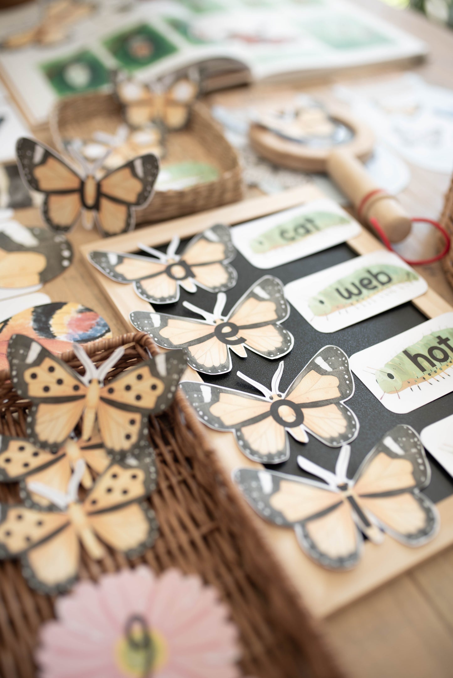 BUTTERFLY MORNING BASKET