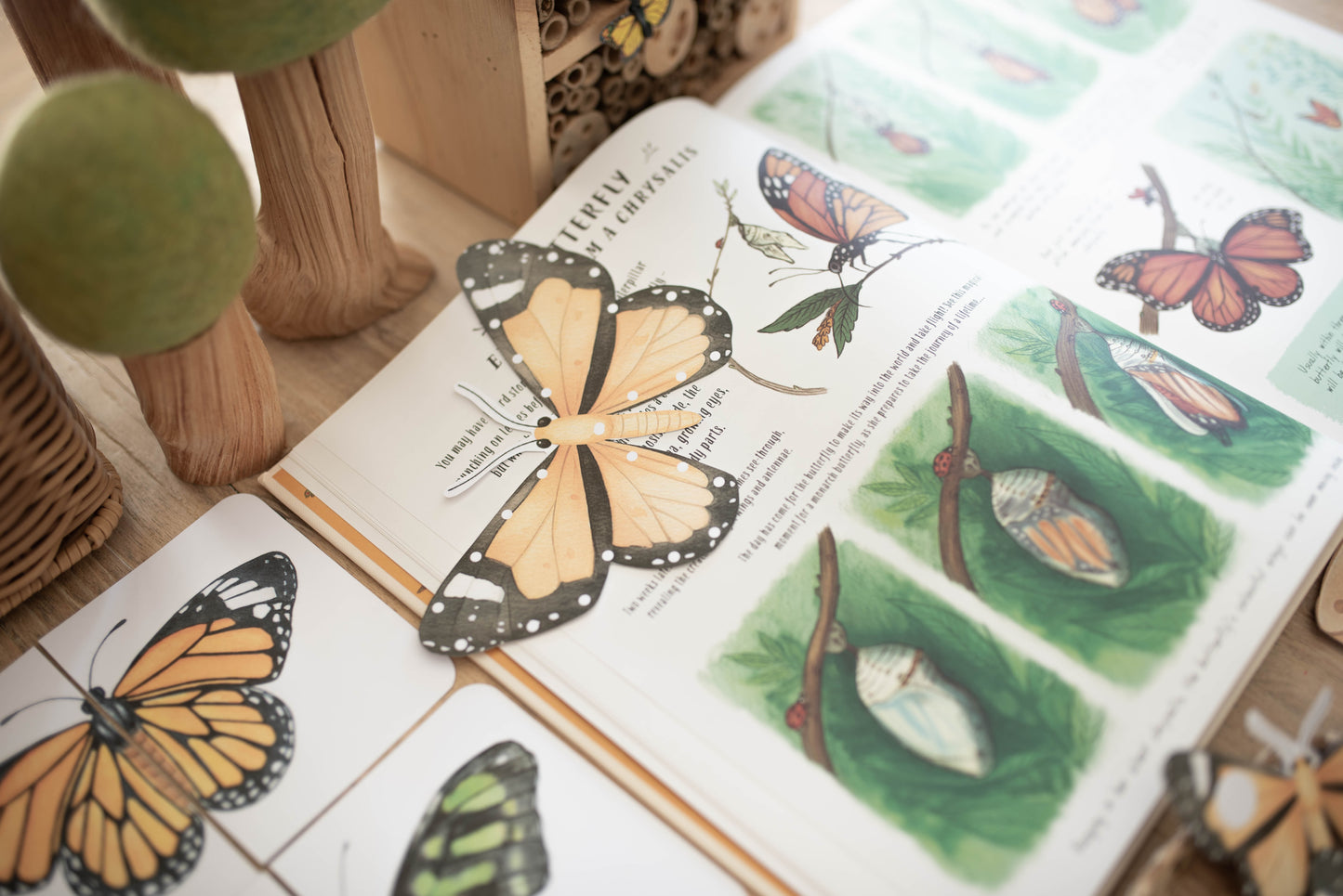 BUTTERFLY MORNING BASKET