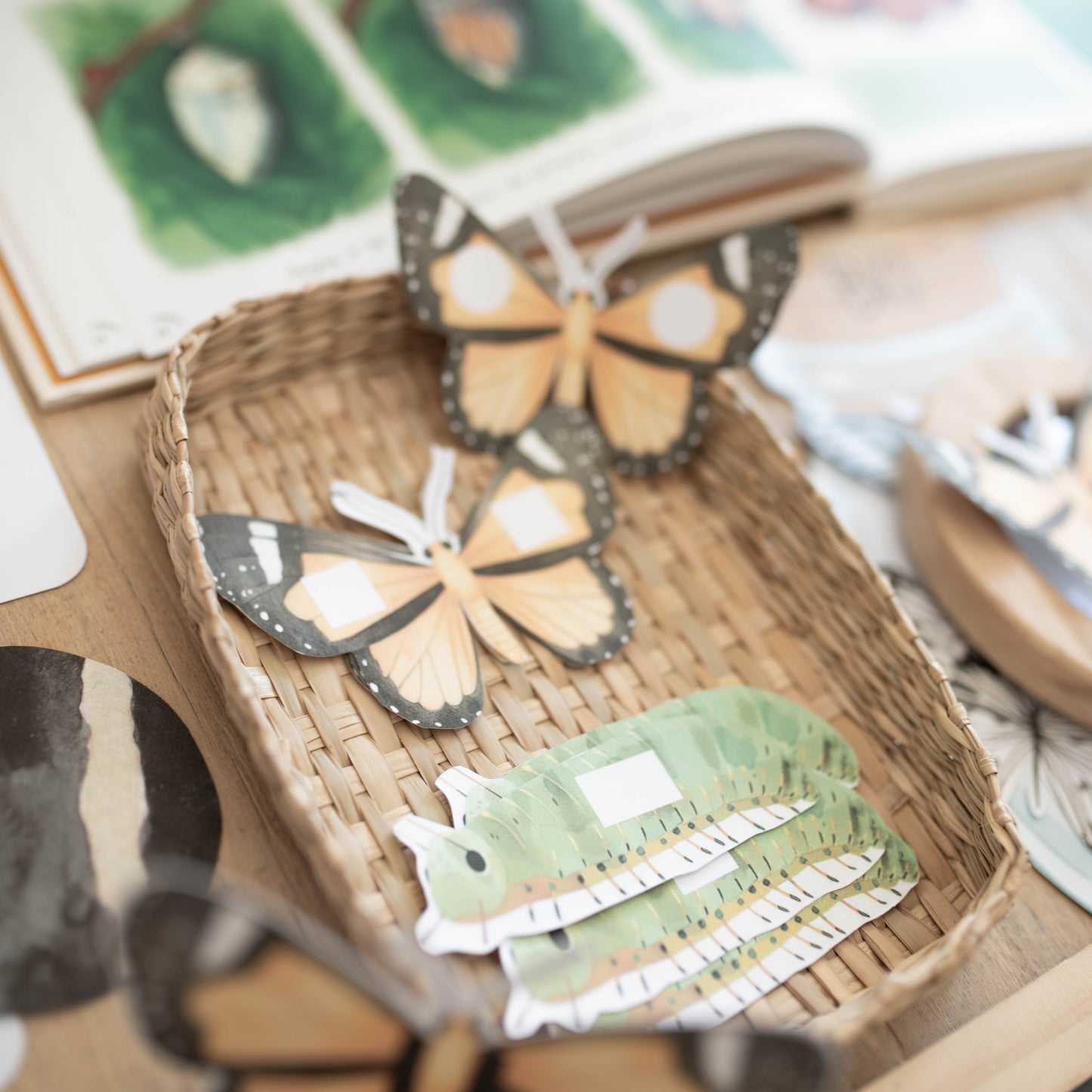 BUTTERFLY MORNING BASKET