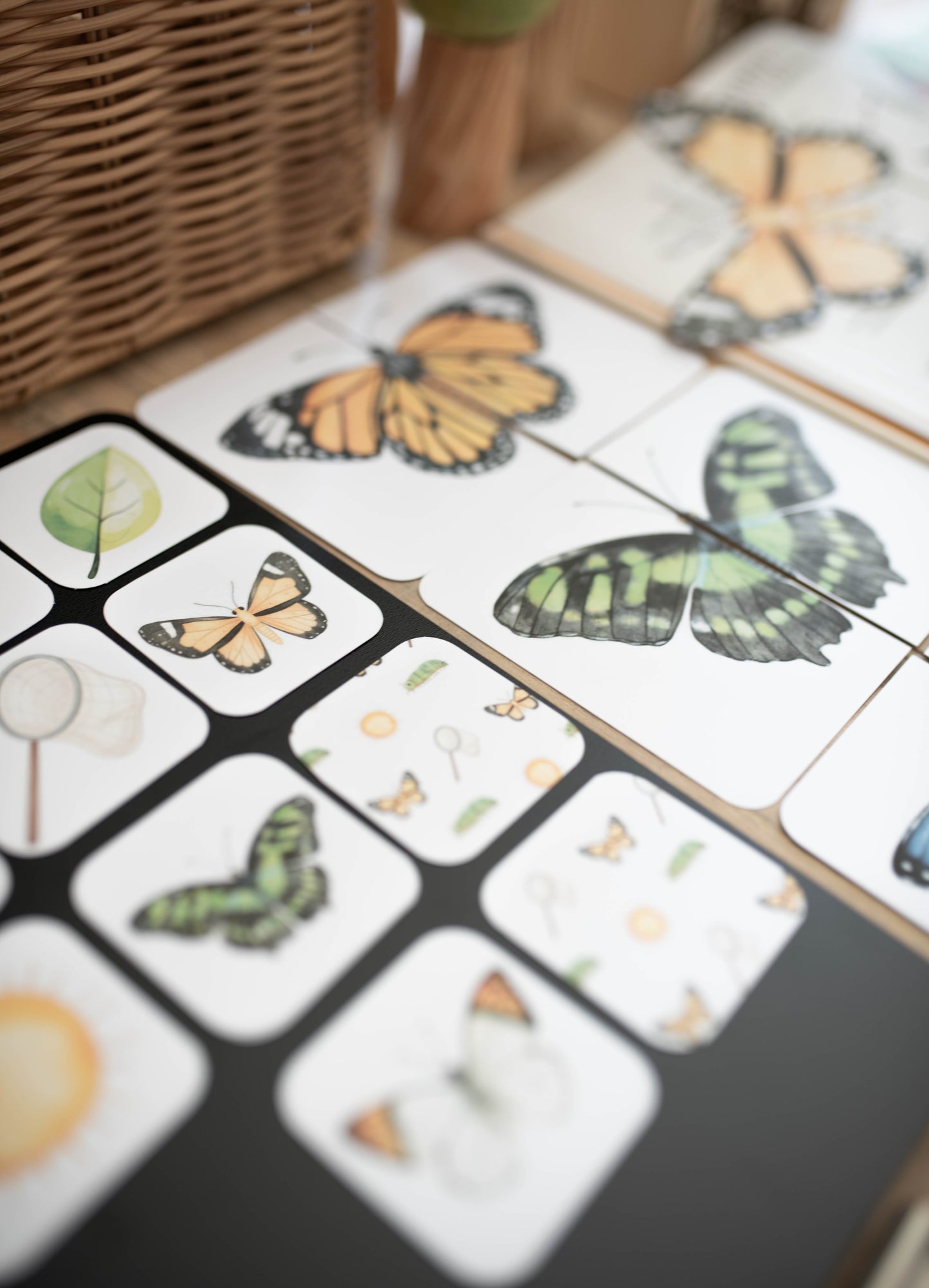 BUTTERFLY MORNING BASKET